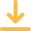 Download Icon